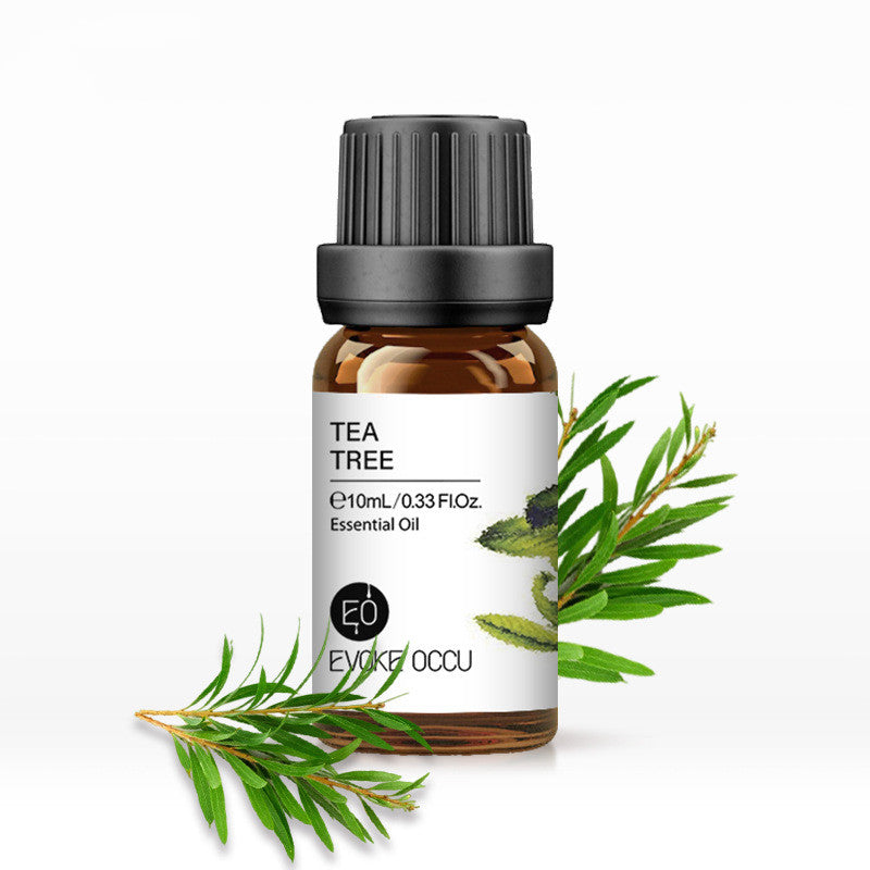 Humidifier Essential Oils- 10mL